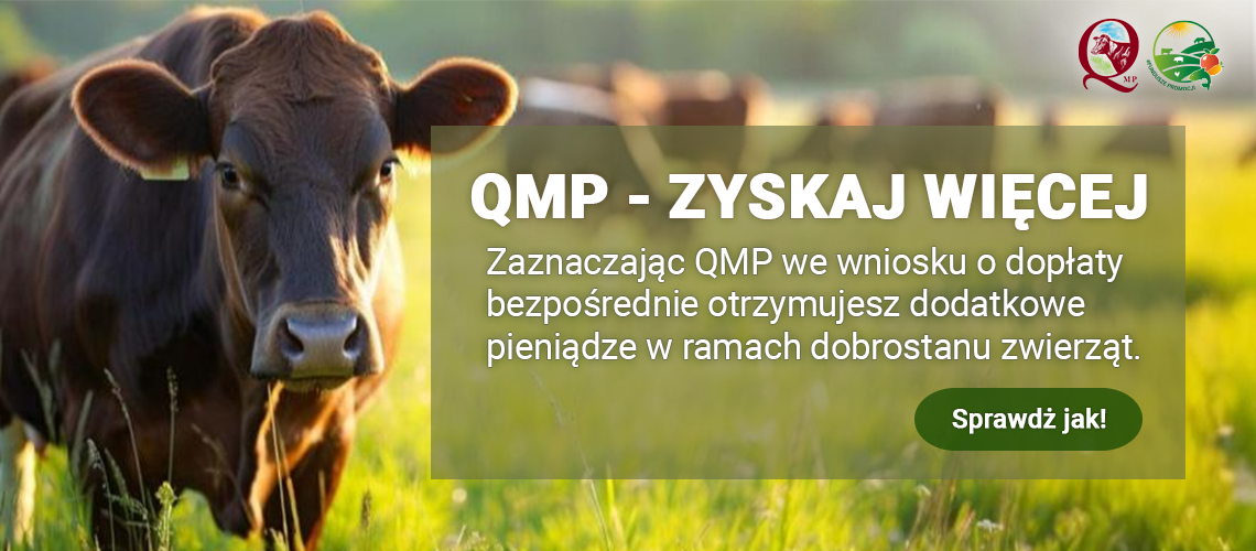 1140x500_px6699822103.png