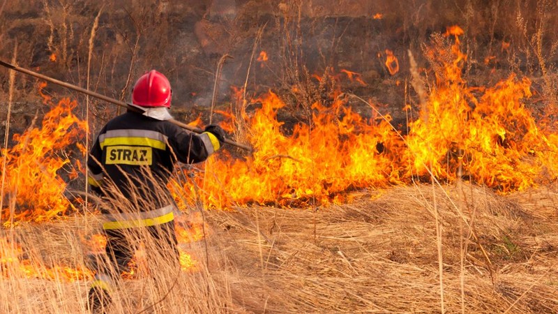 Na zdjęciu widnieje strażak wyposażony w tłumice. Przed nim widać płomienie i palącą się łąkę.